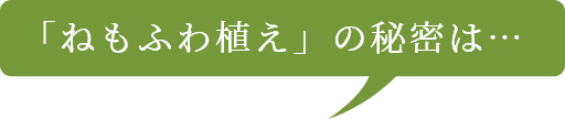 「ねもふわ植え」の秘密は…