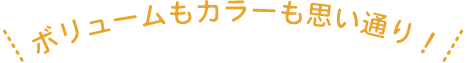 ボリュームもカラーも思い通り！