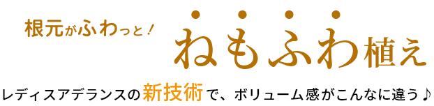 根元がふわっと！ねもふわ植え！