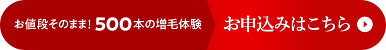 お値段そのまま！500本の増毛体験 お申し込みはこちら