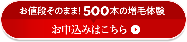 お値段そのまま！500本の増毛体験 お申し込みはこちら