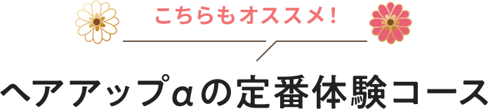 こちらもオススメ！ヘアアップαの定番体験コース