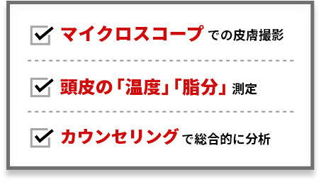 マイクロスコープpでの皮膚撮影・頭皮の「温度」「脂分」測定・カウンセリングで総合的に分析