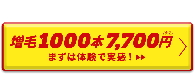 思いのまま、増毛キャンペーン　増毛1000本7,700円（税込）まずは体験で実感！