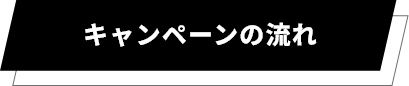 キャンペーンの流れ