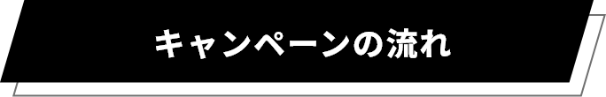 キャンペーンの流れ