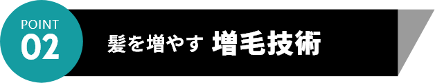 POINT02 髪を増やす増毛技術