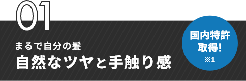 01　まるで自分の髪　自然なツヤと手触り感