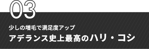 03　少しの増毛で満足度アップ　アデランス市場最高のハリ・コシ