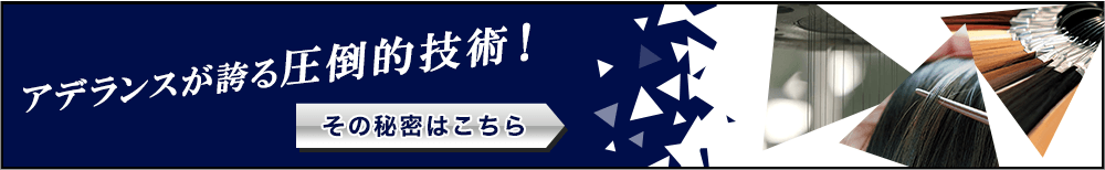 定額アデランス 増毛サービス ファーストパック 増毛 Aga対策のご相談はアデランス